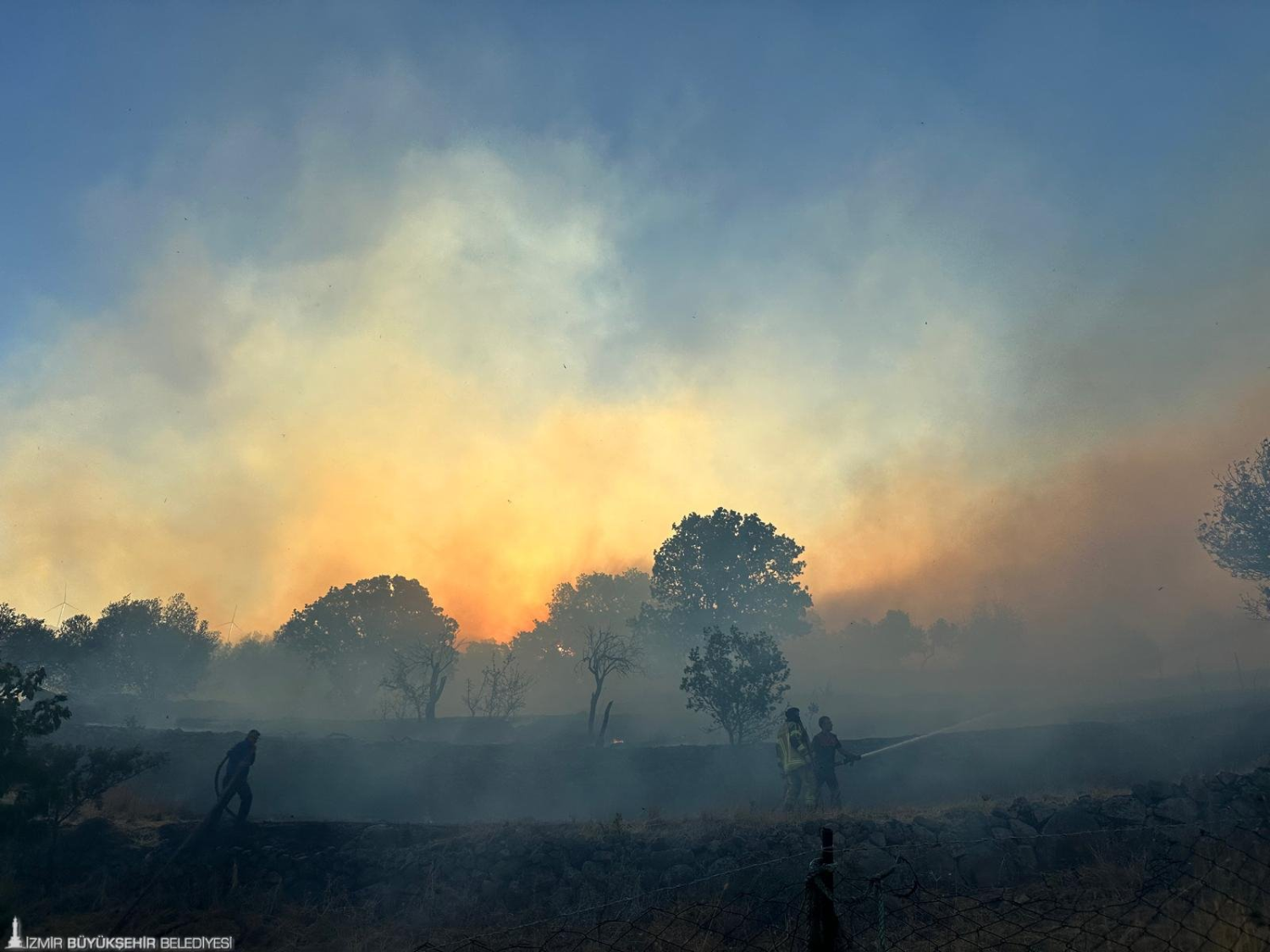 İzmir İtfaiyesi Dikili’deki yangına müdahale ediyor